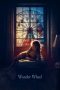 Lk21 Wonder Wheel (2017) Film Subtitle Indonesia Streaming / Download